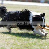 2016 New Fashion Folding Dog Flying Disc