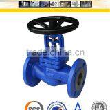 DIN Cast Iron Globe Valve PN16 thumbnail-2