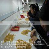 Shenzhen Changjing Hardware & Plastic Products Co., Ltd. company overview - view 4 thumbnail
