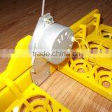 Hottest Selling Mini Quail Egg Incubator Hatching for Sale thumbnail-6