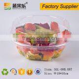 Disposable Plastic Transparent Deli Container Clear Food Grade Salad Box thumbnail-1