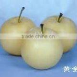 Huangguan Pear/ Crown Pear / Golden Pear thumbnail-1