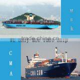 Gino Quality Bouillon Cube With Chicken Taste thumbnail-3