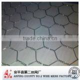 Hot-dipped Galvanized or PVC Coated Hexagonal Wire Mesh/chicken Wire/chicken Cage