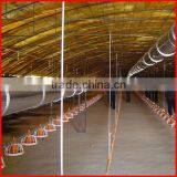 Automatic Chicken Feeding System for Chicken Farm thumbnail-1