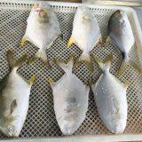 Fish,shrimp, Lobster Iqf Tunnel Freezer, Cryogenic Freezer thumbnail-3