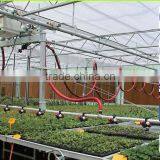 Greenhouse thumbnail-2