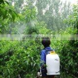 Agriculture Portable Energy-saving Electric Sprayer DS-12(15,18) thumbnail-1