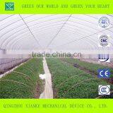 Big Cheep Glass Greenhouse for Seeding thumbnail-2