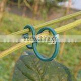 Green Color Eight Shape Plastic Clips For Garden Binding thumbnail-2
