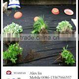 Agriculture Black Plastic Film Made in the Factory in Zhejiang Province of China thumbnail-4