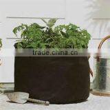 75 Gallon Smart Pots Hydro for Flower System Smart Non Woven Plant Bag (1 Gal to 1200 Gal) thumbnail-2