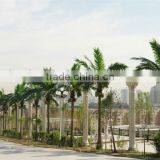 Home Garden Edging Decorative 5ft to 16ft Height Outdoor Artificial Green Plastic Palm Trees EDS06 0816 thumbnail-5