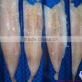 IQF Frozen Monkfish Seafood thumbnail-1