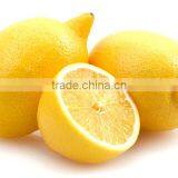 Fresh Citrus Fruits /Yellow Eureka Fresh Lemon thumbnail-5