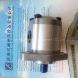 Gear Pump, Gear Oil Pump, Hydraulic Oil Pump thumbnail-3