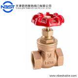 BSP or NPT 1/2 Inch Brass Steam Gate Valve Low Pressure thumbnail-2