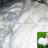 100% Rabbit Top thumbnail-1