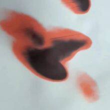 Black Red Two-color Thermal Paper thumbnail-2