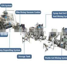 Genyond Factory JY600 Pectin and Gelatin Gummy Candy Machine Line Production Line thumbnail-2