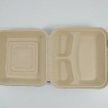 Disposable Lunch Box Salad Box Burger Box thumbnail-3