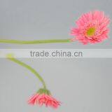 Fashionable Honey Fresh Cut Gerbera Flower thumbnail-3