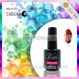 V.chlo Wholesale Gel Color Polish Soak off Cat Eye Gel Polish thumbnail-6