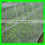 Dense Small Net Anti Insect Netting Crop Veg Protection thumbnail-5