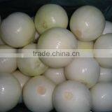 New Fresh High Grade Red Onion 2014 in China With Good Quality thumbnail-2