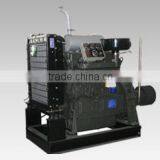 Stationary Power Diesel Engine With 58HP