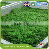 Best selling top rated factory price China origin seaweed