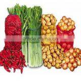 Fruit and Vegetables of PE Raschel Bag