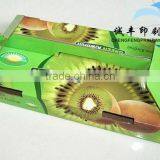 Custom Printing Corrugated Carton for Kiwi Berry Fruit Package