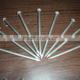 Regular Concrete Steel Nails thumbnail-1