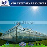 Low Cost Muti-span PVC/PE/Plastic Greenhouse for Flower/vegetable Growing thumbnail-3