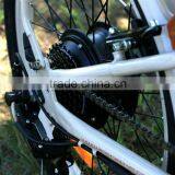 Mini,20 Inch Front Wheel Hub Motor 350 Watt Electric Bike Conversion Kit 36v Battery thumbnail-5