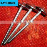 Philippines BWG9 Factory Twist Umbrella Roofing Nail thumbnail-5