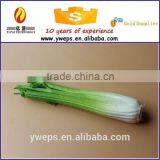 Hot Sale Artificial Vegetable Fake Vegetable Foam Vegetable With Natural Touch Vegetable thumbnail-3