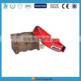 Nylon Webbing Collar for Dog With Neoprene and Velcro thumbnail-3