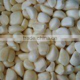 Chinese Frozen Garlic thumbnail-1