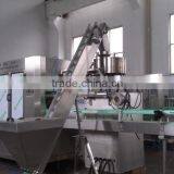 Automatic Drink Water Filling Machine