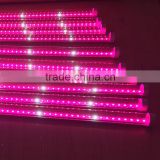 DC24V 0.6m PC 9w ip65 Clear tube red&blue luces led grow for grow tent