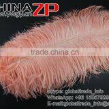 ZPDECOR Trade Assurance Leading Supplier Wholesale Size From 50-55cm Cheap Dyed Champagne Ostrich Feather thumbnail-2