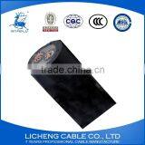 XLPE Insulated PVC Sheathed Copper Power Cable 2core Electric Cable 2x120mm2