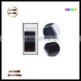 Wholesale OEM Single Two Tone Eyelash Extensions/colored Eyelash Extensions