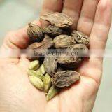 Vietnam Dried Style BLACK CARDAMOM Exporter (website: Hanfimex08) thumbnail-2