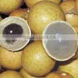 Fresh Longan Natural Sweet