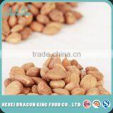 Apricot Kernel- a Cancer Killer/ Nepalese Cancer Killer Apricot/ Bitter Apricot Kernels thumbnail-3