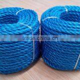 Blue Color 3 Strands Twisted Polypropylene Raffia Rope thumbnail-4