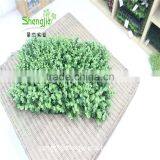 SJLJ13583 Artificial Grass Plastic Green Hedge for Sale thumbnail-4